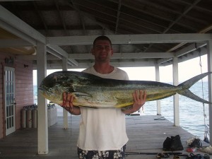 Dorado (Mahi Mahi)