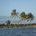 Progresso Lagoon, Belize