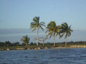 Progresso Lagoon, Belize