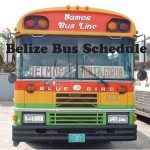 Belize Bus Schedules 